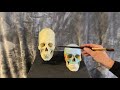 Osteology, Cranial Elongation, by Michael Hensley
