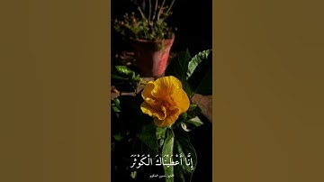 سورة الكوثر || القارئ حسين الحكيم