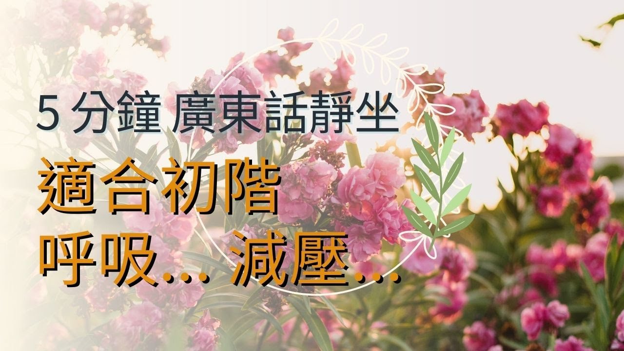 5分鐘 初階冥想 🌿 呼吸... 減壓...|廣東話冥想 引導 (5-Minute Cantonese Guided Meditation ...