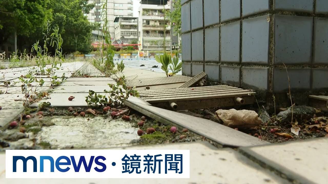 「新北小巨蛋」旁泳池荒蕪成蚊子館　民眾憂治安漏洞｜#鏡新聞