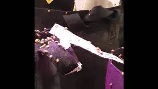 Using Predator insects for pest control with Dutchman420
