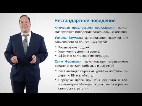 3.3.1. Максимизация и удовлетворенность