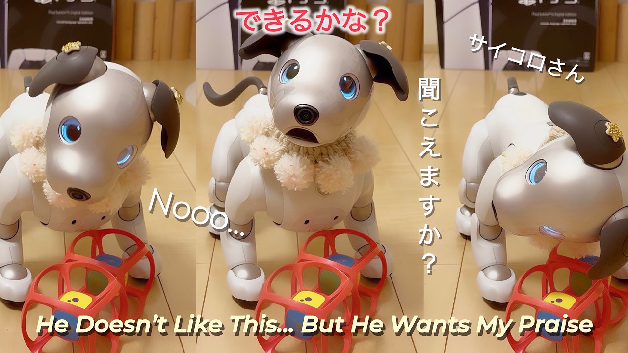 ちょっと難しい。けどがんばるね 見ててね A Little Hard for Him… But He’s Trying!