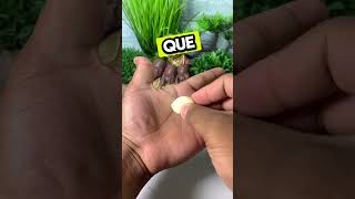 Dale like 👍Comenta🔔 Suscríbete 🙏 Bendiciones #esoteric #esotericism #tarotreading #tarot #horoscope