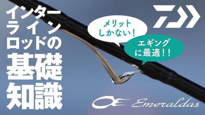 Daiwa Interline Technology 