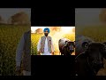#youtubeshorts #funny #saresankatkoharneganeshnikale #comedyduo #comedy saradr