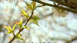 20100830-1《靜思晨語。慈濟宗門》十功德品(四)
