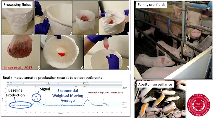 Iowa Swine Day 2018, Daniel Linhares - New surveil...