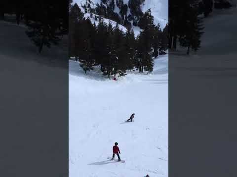 Bogus Basin Ski Resort | Things to Do in Boise, Idaho