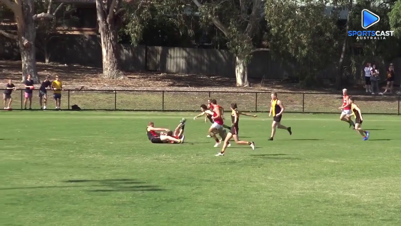 2019 SFNL Division 1 1 Cheltenham v Dingley Highlights
