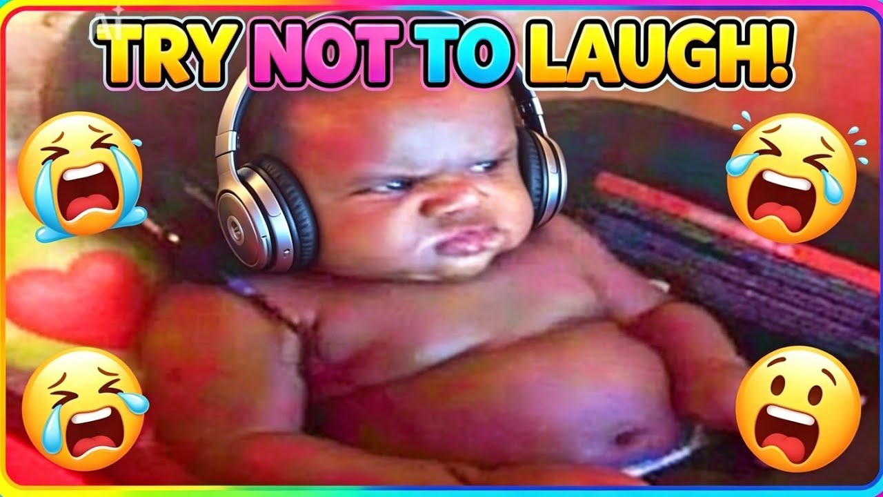 Funny videos 😭 Try not to laugh challenge ,funny compilation - YouTube