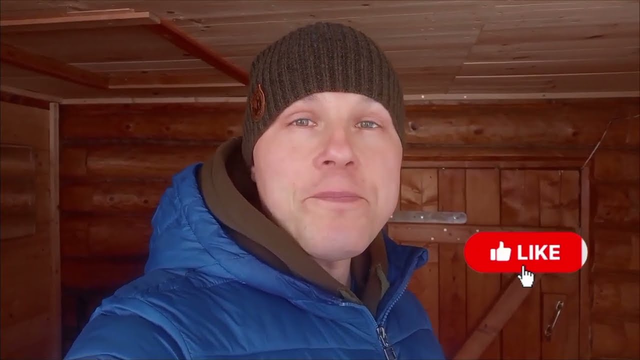 1 марта .есть проблемы на пасеке .