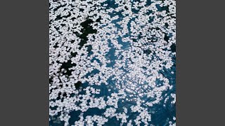 Download Lagu yoru MP3