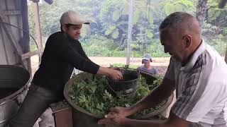 Juliette Davis - Journaliste Reporter d'images