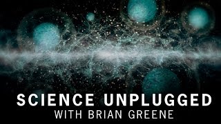 How do different species of particles differ from one another?