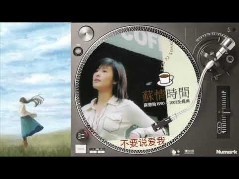 不要说爱我 苏慧伦 Tarcy Su 歌词