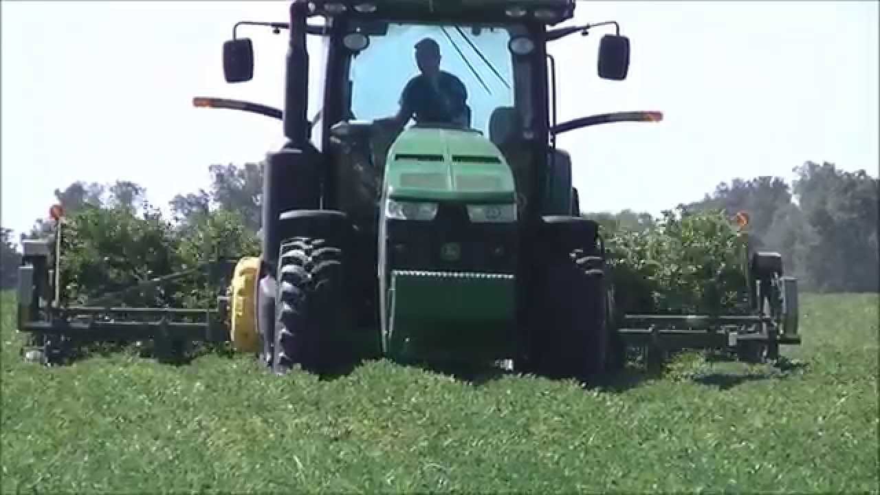 MURRAY FARMS PEANUT HARVEST PART 1 INVERTING YouTube