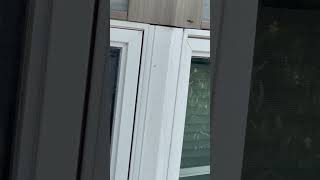 Yellow jackets infested home from late summer.