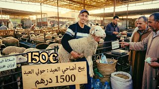 أرخص حوالة في ألميريا إسبانيا 🇪🇸 عيد الاضحى 2026