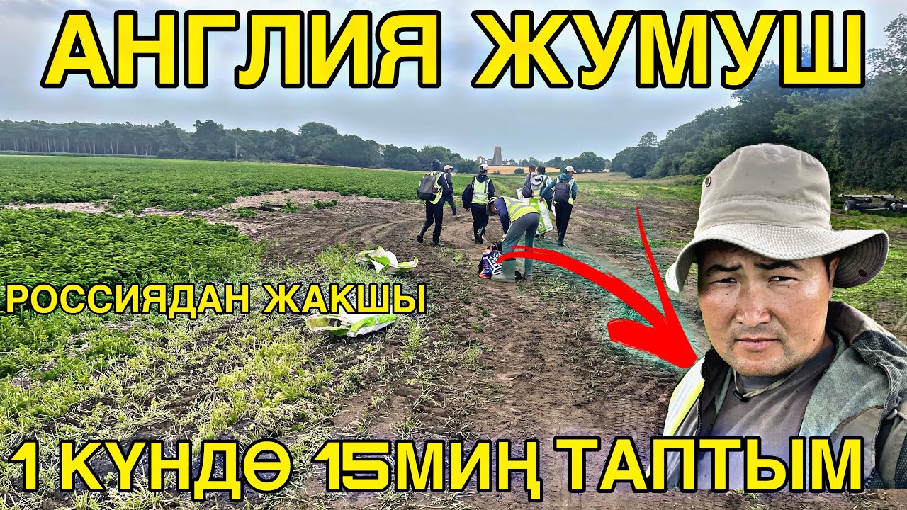 Англияда жумуш ушундай айлык 200миңден ашык #кыргызстан #rek #жанылыктартоптому #жалалабадмалбазары