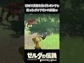 武器を始めて投げた初心者リンクを追いかけるボコブリン【ゼルダの伝説 ブレス オブ ザ ワイルド】