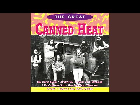 Punk music video thumbnail preview for Canned Heat - Pretty Thing