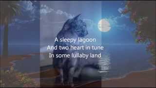 眠ったようなラグーンとネコ