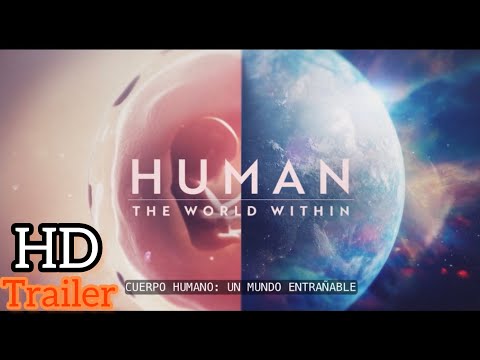 Cuerpo Humano: Un mundo entrañable (2021) Tráiler subtitulado