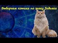 ВЫБИРАЕМ КОТИКА ПО ЗНАКУ ЗОДИАКА  CHOOSE CAT BY ZODIAC SIGN