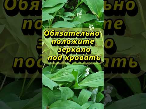 Обязательно Положите Зеркало Под Кровать Магия Эзотерика Приметы Ритуалы Мистика Обряды