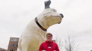 Nipper doc 2