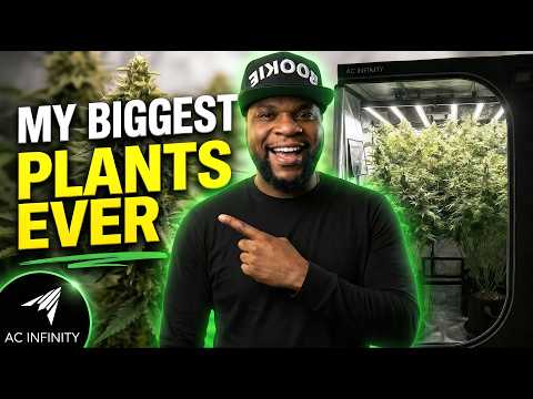 Thumbnail for The BIGGEST Plants I've Ever Grown! | Infinity Grow: S9 EP4