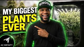 The BIGGEST Plants I've Ever Grown! | Infinity Grow: S9 EP4
