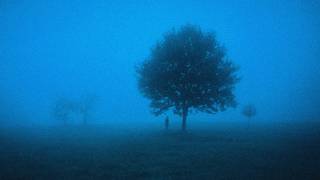 you're not lonely, just alone (a playlist)