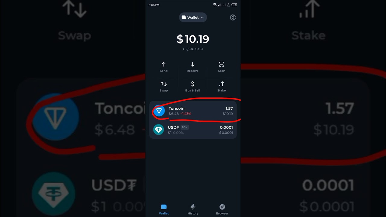 Ton gas fee hamster Kombat and dogs coin 