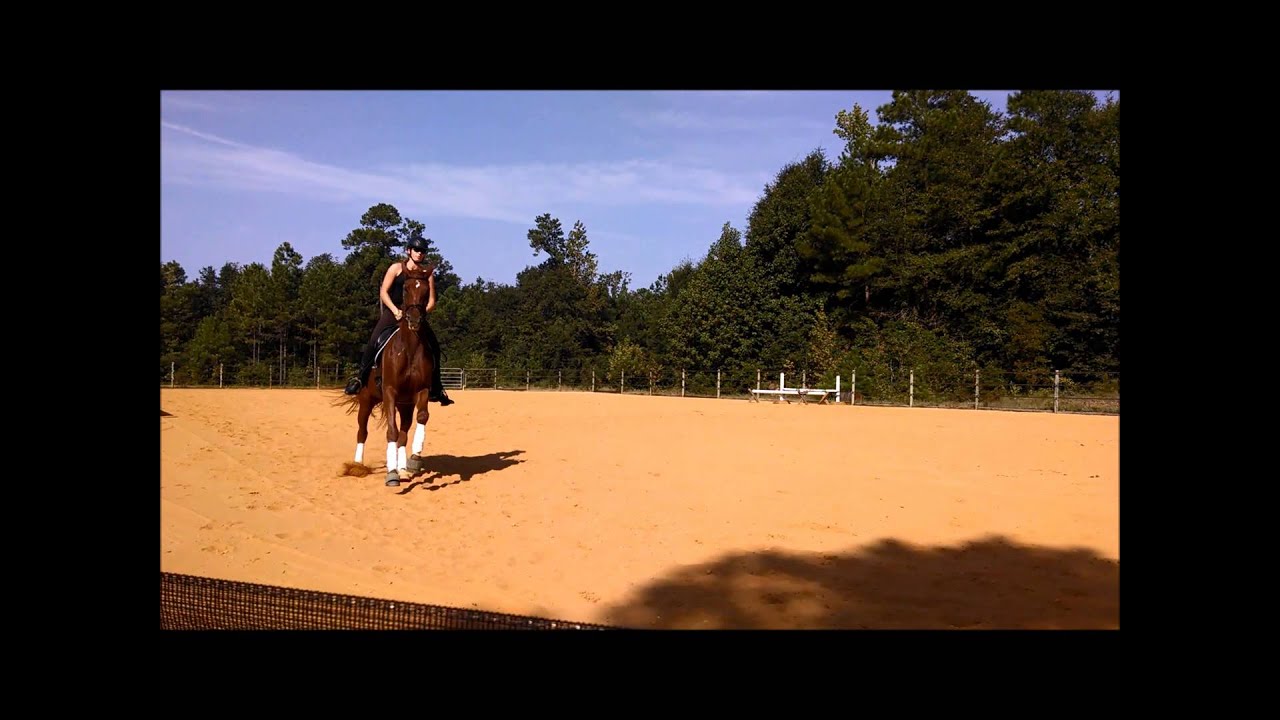 Regenbogen flying changes video