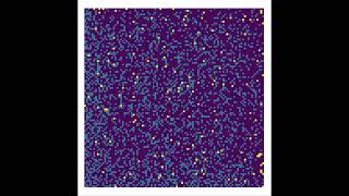 Crude Prey Predator Behavior Simulation (1)