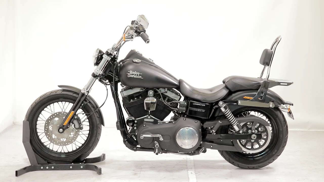 Sissybar Fast Rider-M für Harley Davidson inkl. Edelstahl Gepäckträger | Craftride