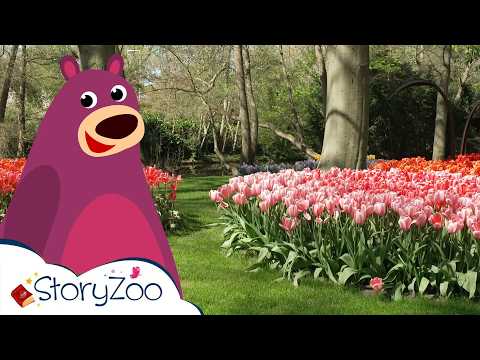 Tulpen 🌷 | StoryZoo In De Keukenhof 💐 | Educatieve video's voor kinderen | #storyzoo
