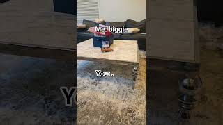 kindergarten fight #kindergarten #fight #roast #help #girls #boy #subscribe