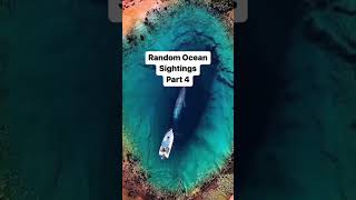 Random Ocean Sightings Part 4 #penjelajahdunia