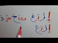 كلمات من اربع حروف فى جملة بسيطة