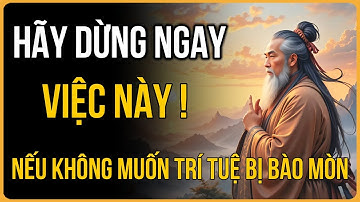 Những Thói Quen Đang Âm Thầm "PHÁ HỦY" TRÍ TUỆ Của Bạn Mỗi Ngày?