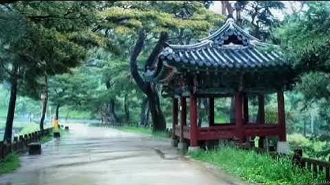 قراءة عطرة لسورة هود تحت المطر Holly Quran Surat Hood under the rain