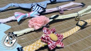 【Jean & Pont 1384】４ニャンコに可愛い首輪をプレゼントしました　2018/6/29 　ジャン ポン あんず カオリン