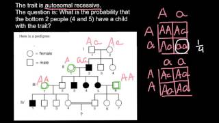 How to solve pedigree probability problems