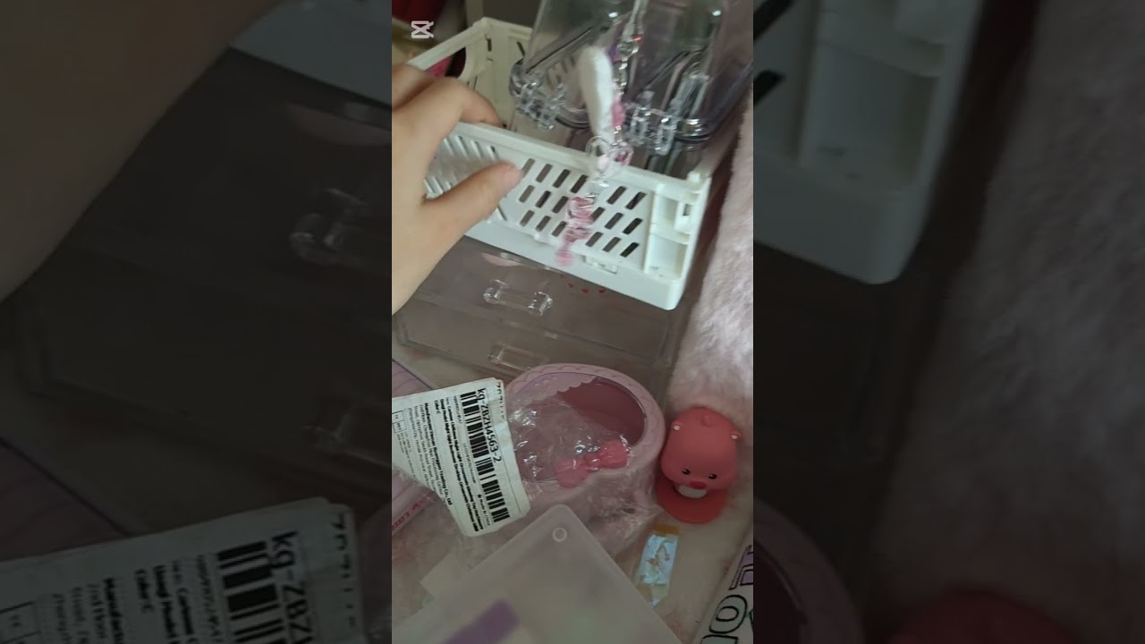 인생 첫 브이로그