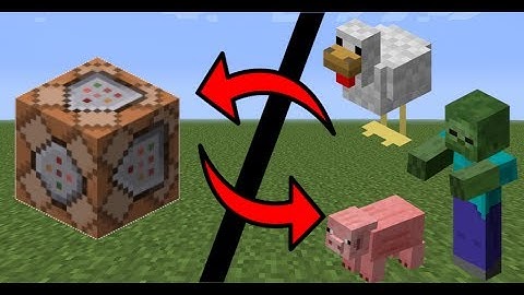 ✔️MCPE - Morphing With Command Blocks!! Morph into Mobs and animals that are found all in Minecraft!
