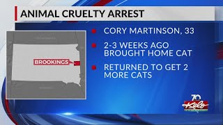Brookings man arrested, accused of killing 3 cats