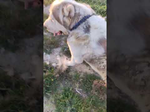 7 апреля 2025 г.